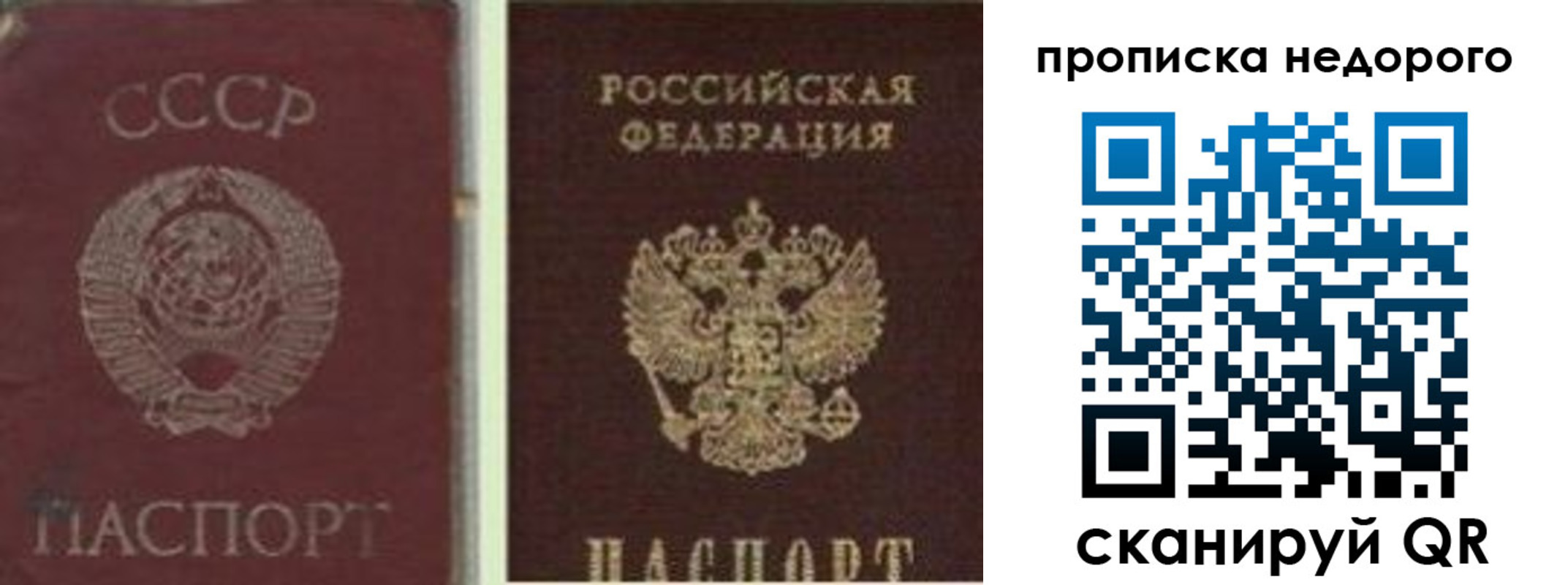 временная регистрация поиск в Алексеевке